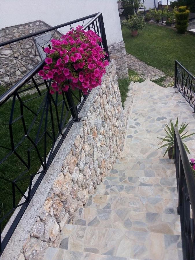 Elshani Guest House Stevovski מראה חיצוני תמונה
