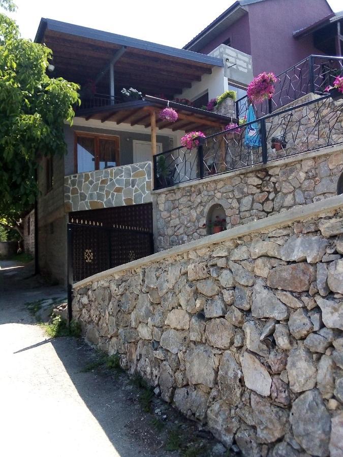 Elshani Guest House Stevovski מראה חיצוני תמונה