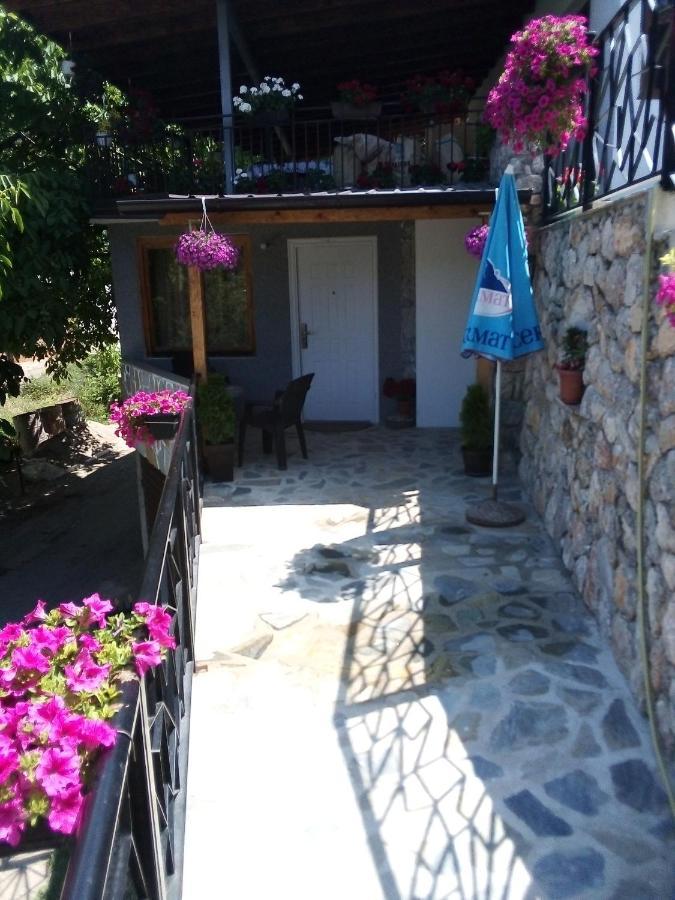 Elshani Guest House Stevovski מראה חיצוני תמונה