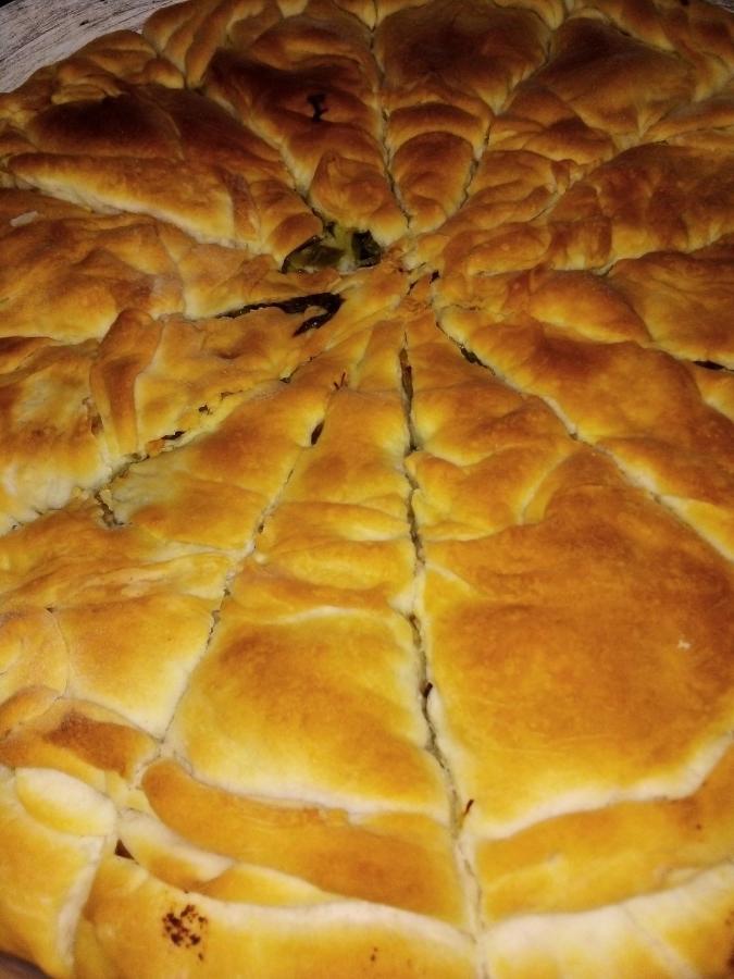 Elshani Guest House Stevovski מראה חיצוני תמונה