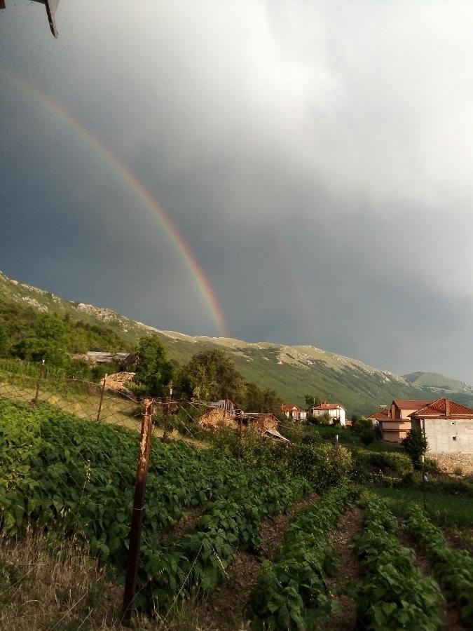 Elshani Guest House Stevovski מראה חיצוני תמונה