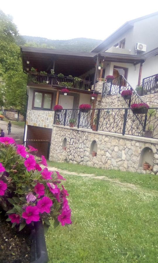 Elshani Guest House Stevovski מראה חיצוני תמונה