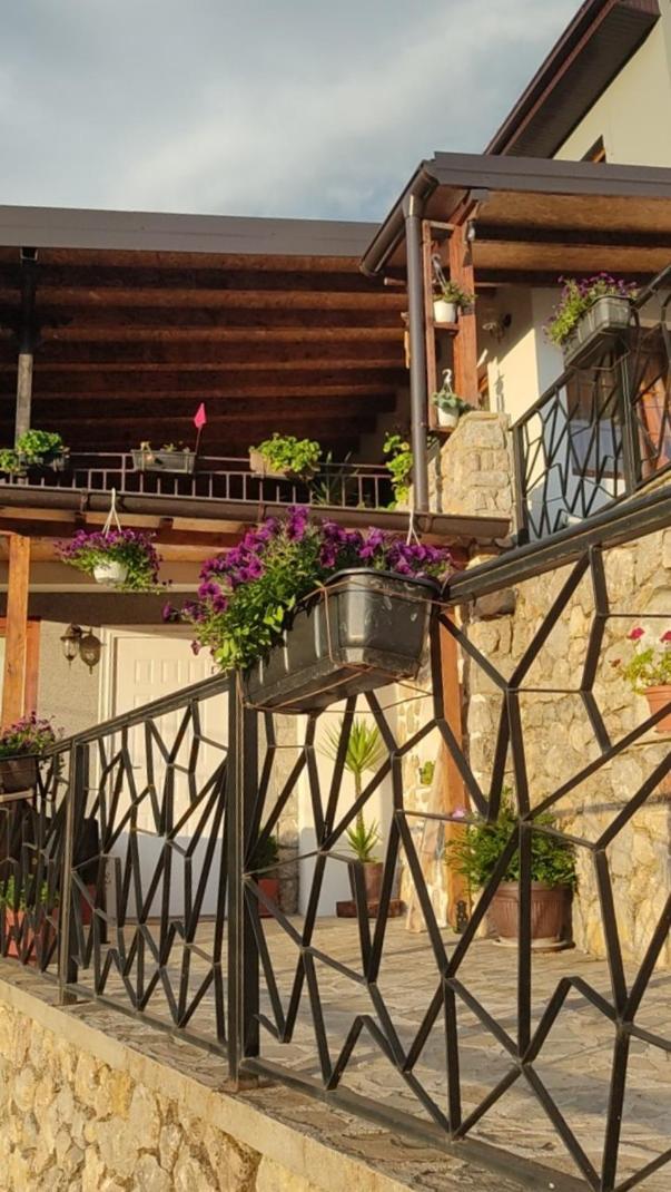 Elshani Guest House Stevovski מראה חיצוני תמונה