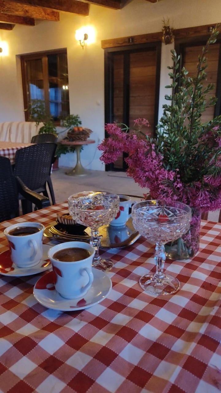Elshani Guest House Stevovski מראה חיצוני תמונה