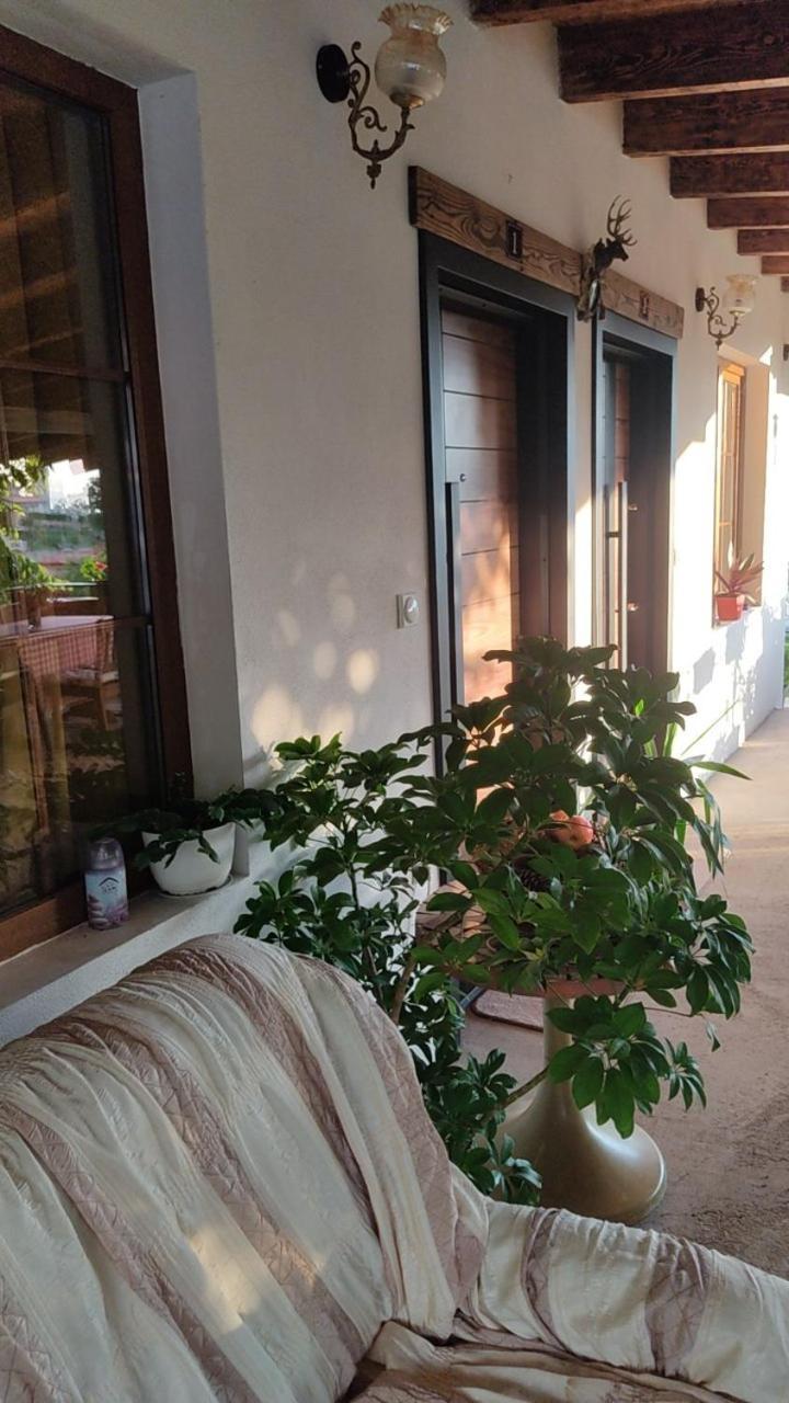 Elshani Guest House Stevovski מראה חיצוני תמונה